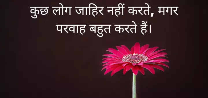 कुछ लोग जाहिर नहीं करते, मगर परवाह बहुत करते हैं।