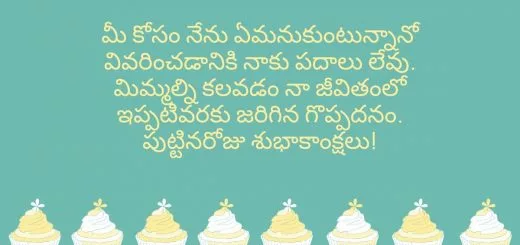 మీ కోసం నేను ఏమనుకుంటున్నానో వివరించడానికి నాకు పదాలు లేవు. మిమ్మల్ని కలవడం నా జీవితంలో ఇప్పటివరకు జరిగిన గొప్పదనం. పుట్టినరోజు శుభాకాంక్షలు!