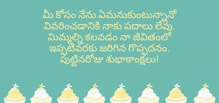 మీ కోసం నేను ఏమనుకుంటున్నానో వివరించడానికి నాకు పదాలు లేవు. మిమ్మల్ని కలవడం నా జీవితంలో ఇప్పటివరకు జరిగిన గొప్పదనం. పుట్టినరోజు శుభాకాంక్షలు!