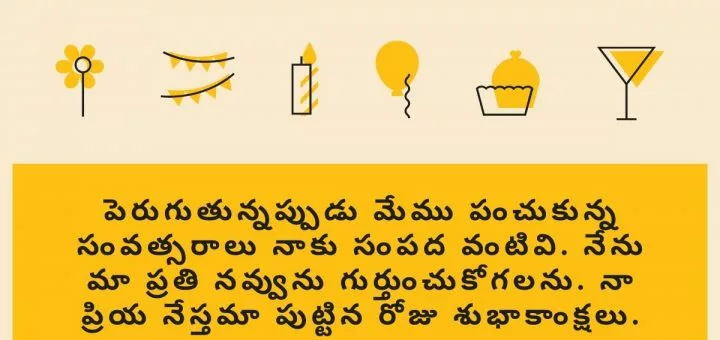 పెరుగుతున్నప్పుడు మేము పంచుకున్న సంవత్సరాలు నాకు సంపద వంటివి. నేను మా ప్రతి నవ్వును గుర్తుంచుకోగలను. నా ప్రియ నేస్తమా పుట్టిన రోజు శుభాకాంక్షలు.