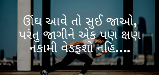 આવે તો સુઈ જાઓ પરંતુ જાગીને એક પણ ક્ષણ નકામી વેડફશો નહિ